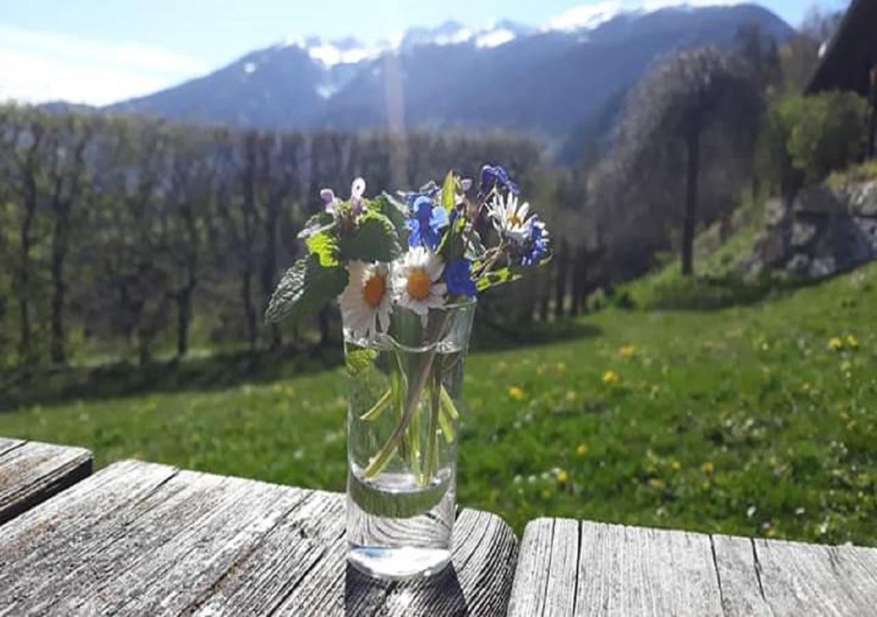 Chalet Waldhof Flattach Εξωτερικό φωτογραφία